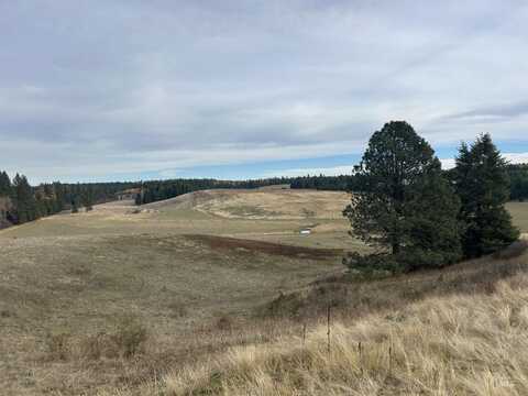 2521 Three Mile Road, Weippe, ID 83553