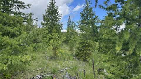 Tbd Upper Fords Creek, Orofino, ID 83544