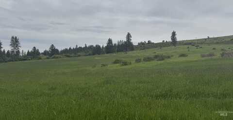 Tbd Highway 13 Parcel 2, Grangeville, ID 83530