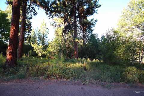 L5 Ponderosa Court, New Meadows, ID 83654