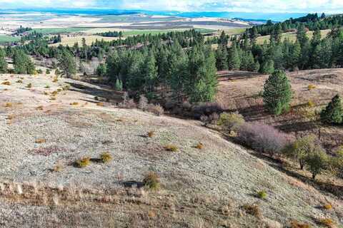 Tbd Over Yonder Road, CottonWood, ID 83522