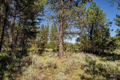 110 Fawnlilly, McCall, ID 83638
