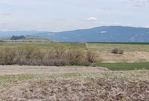 Lot 10 Angus Ranch Road, Grangeville, ID 83530