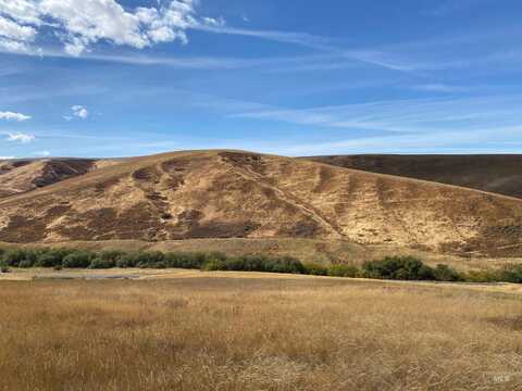 Tbd Linville Gulch Road, Pomeroy, WA 99347