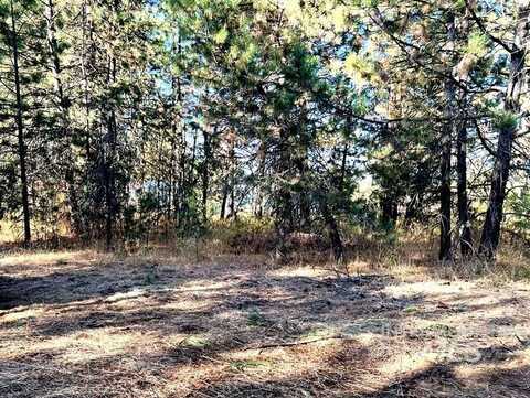 Tbd 2 Elo Road, McCall, ID 83638
