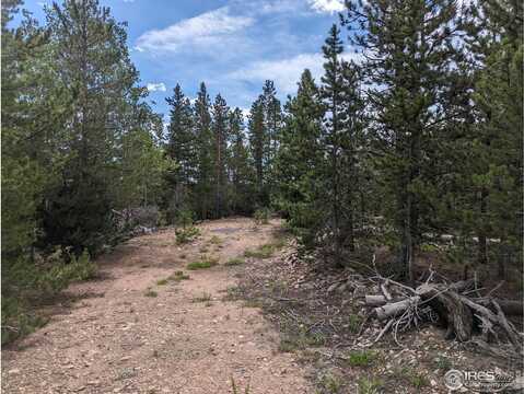 90 Quapaw Ct, Red Feather Lakes, CO 80545