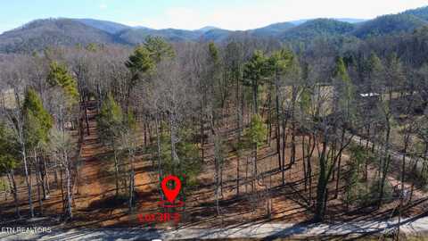 Lot 3r-2 Bethel Church Rd, Townsend, TN 37882