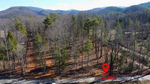 Lot 3r-1 Bethel Church Rd, Townsend, TN 37882