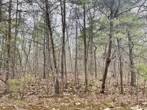 327 Bainbridge Rd, Crossville, TN 38558