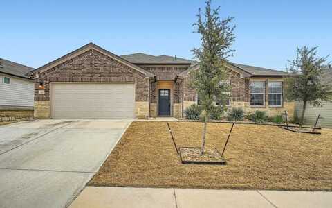 155 Windmill Palm DR, Kyle, TX 78640