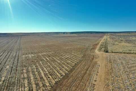 County Road 34, Antelope Flats, TX 79226