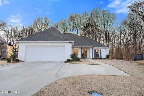 310 Oakville Circle, Brandon, MS 39047