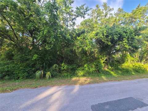 9239 N BUTTERCUP WAY, CRYSTAL RIVER, FL 34428