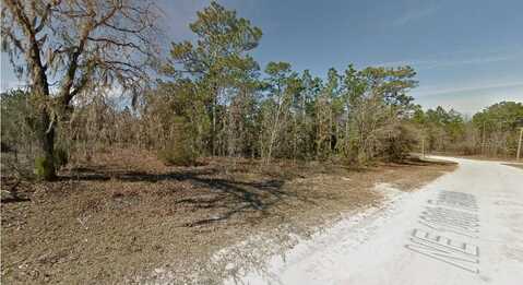 0 NE 108TH TERRACE, ARCHER, FL 32618