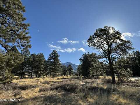 003 Hart Prairie Rd, Flagstaff, AZ 86001