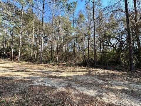 Lot 20 SNEAD Drive, Abita Springs, LA 70420