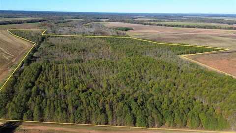 000 Easement Road, Pine Bluff, AR 71601