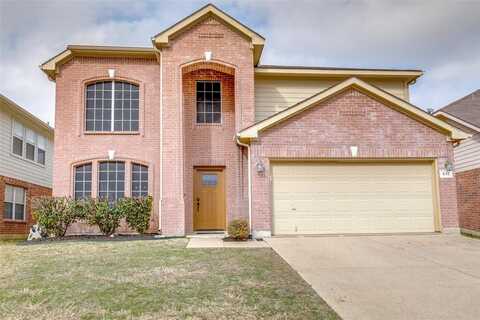 917 Cattail Drive, Arlington, TX 76001