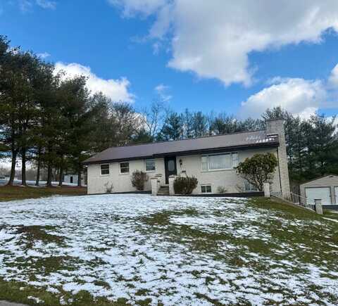 593 Wigner Ave, Harrisville, WV 26362