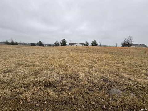 Lot 12 DOVE Lane, Eldorado, IL 62930