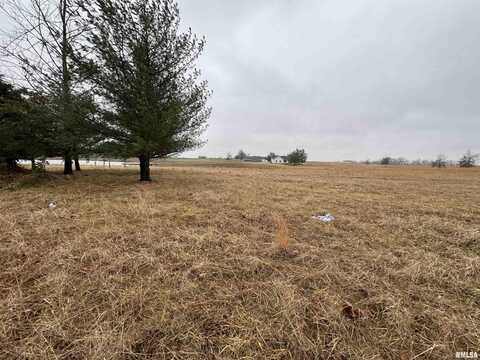 Lot 1&2 RALEIGH Road, Eldorado, IL 62930