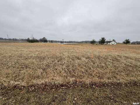 Lot 13 DOVE Lane, Eldorado, IL 62930