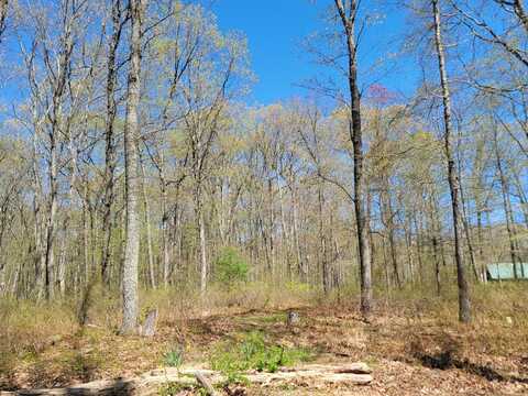 Lot 114 Pohopoco Circle, Lehighton, PA 18235