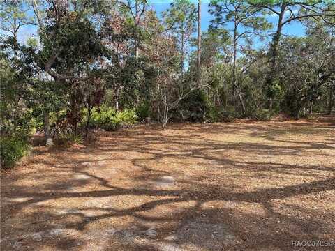 1811 S Gleneagle Terrace, Lecanto, FL 34461