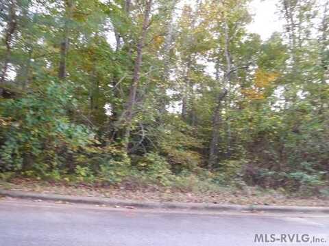 LOT 59 LAKE POINTE DRIVE, Roanoke Rapids, NC 27870