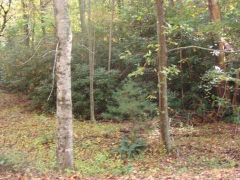 Tbd Beaver Trail, Fancy Gap, VA 24328