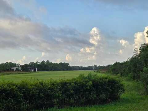 Lot 15 Skyhawk Lane, Panacea, FL 32346