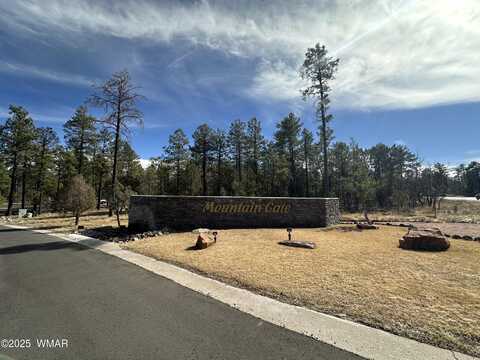 4981 Silver Mountain Drive, Lakeside, AZ 85929