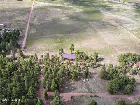 3 CR N2261, Alpine, AZ 85920