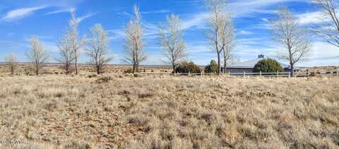 1960 S Blossom Lane, Snowflake, AZ 85937