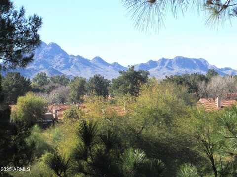 4303 E CACTUS Road, Phoenix, AZ 85032