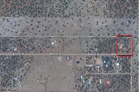 8594 BOBCAT Drive, Show Low, AZ 85901