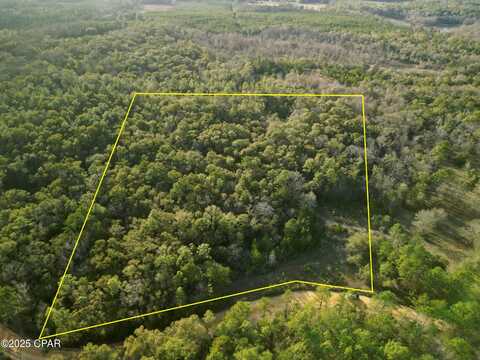 Creek Run Road, Vernon, FL 32462
