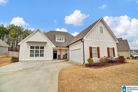 1695 BAXTER AVENUE, SPRINGVILLE, AL 35146