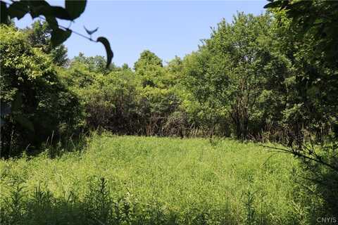 Lot 1 Mcdonald Road, Onondaga Indian Reservation, NY 13215