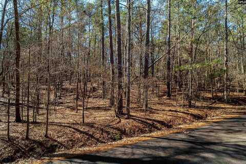 Little Saluda Lane, Batesburg, SC 29006