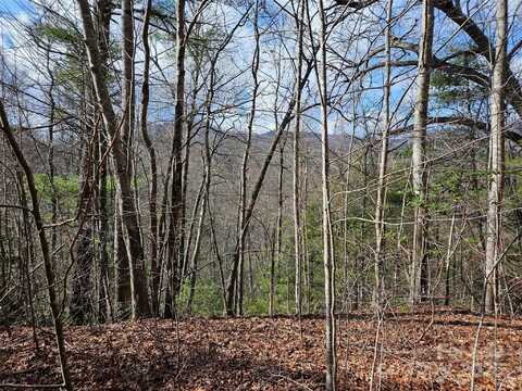 00 Wispy Willow Drive, Waynesville, NC 28785