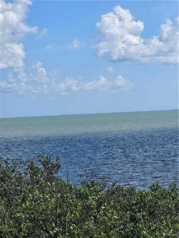 102 Oleander Drive, Laguna Vista, TX 78578