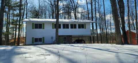 8139 Highland Trail, Canadian Lakes, MI 49346