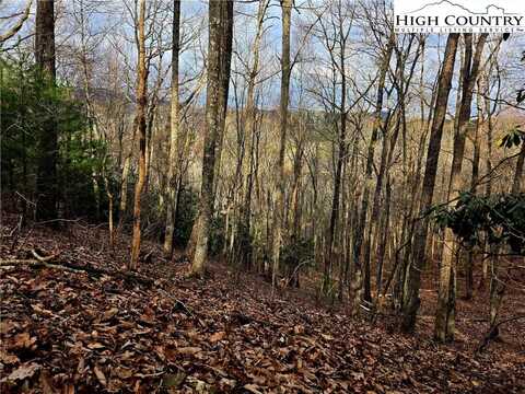 Lot 15 Riverstone, Laurel Springs, NC 28644