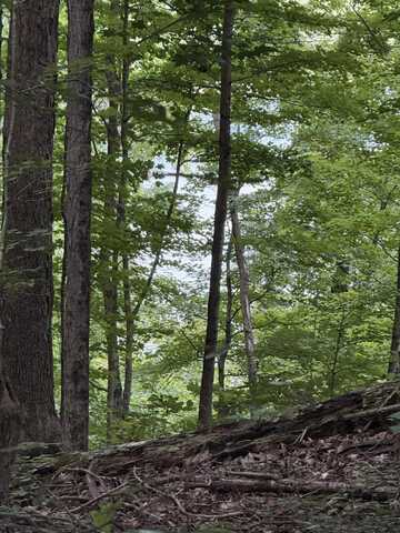 Lot#20 Stephens Drive, Somerset, KY 42503