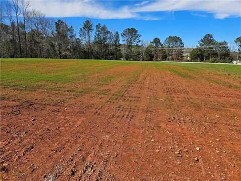 8160 COUNTY ROAD 87, LANETT, AL 36863