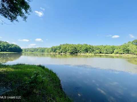 County Road 65, Winona, MS 38967