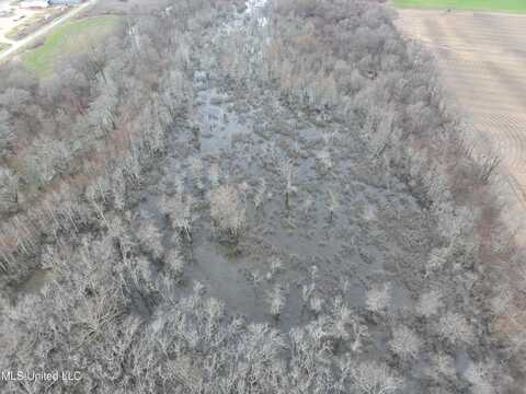 County Road 526, Minter City, MS 38944