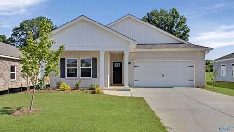18876 Wicklow Circle, Athens, AL 35613