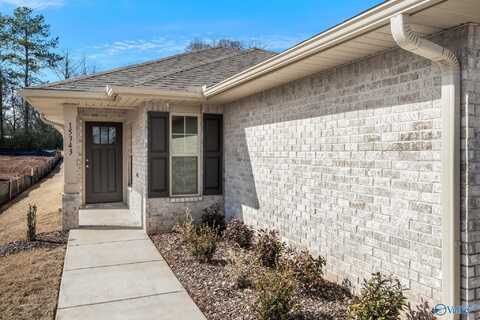 19822 Redhawk Drive, Athens, AL 35611